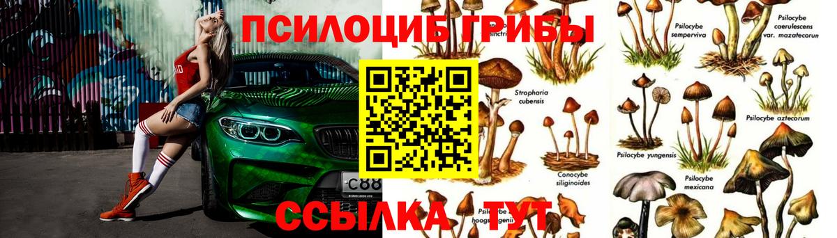 Галлюциногенные грибы прущие грибы  Галлюциногенные грибы мицелий  Вход с VPN  Псков 